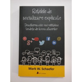 RETELELE  DE  SOCIALIZARE  EXPLICATE * Descalcirea celei mai neintelese tendinte din lumea afacerilor  -  Max W. SCHAEFER